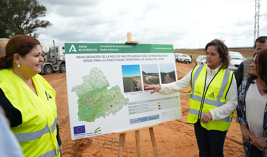 Imagen del artículo Sostenibilidad impulsa la conectividad ecológica y territorial con la mejora de la Cañada Real del Pajarero